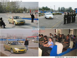 石家莊大眾駕校 專業(yè)的機(jī)動車駕駛員培訓(xùn)伙伴