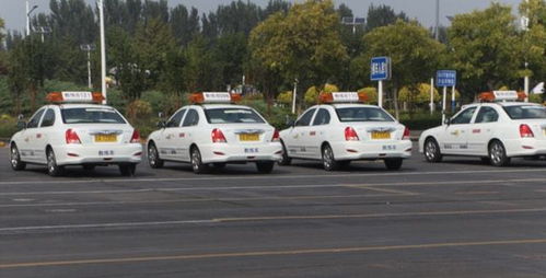 本市機(jī)動車駕駛員培訓(xùn)行業(yè)信用評價(jià)體系即將全面實(shí)施，促進(jìn)行業(yè)規(guī)范與服務(wù)質(zhì)量提升